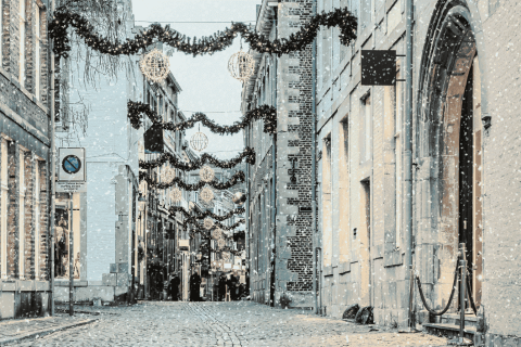 Winteruitje Den Bosch